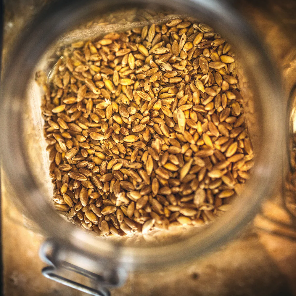 Artisanal Italian Pasta - Spaghetti N°5 Fabbri