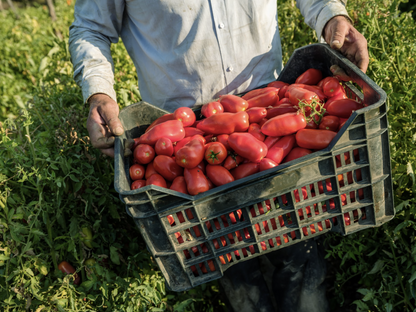 San Marzano DOP Tomatoes - 820g - Casa Marrazzo